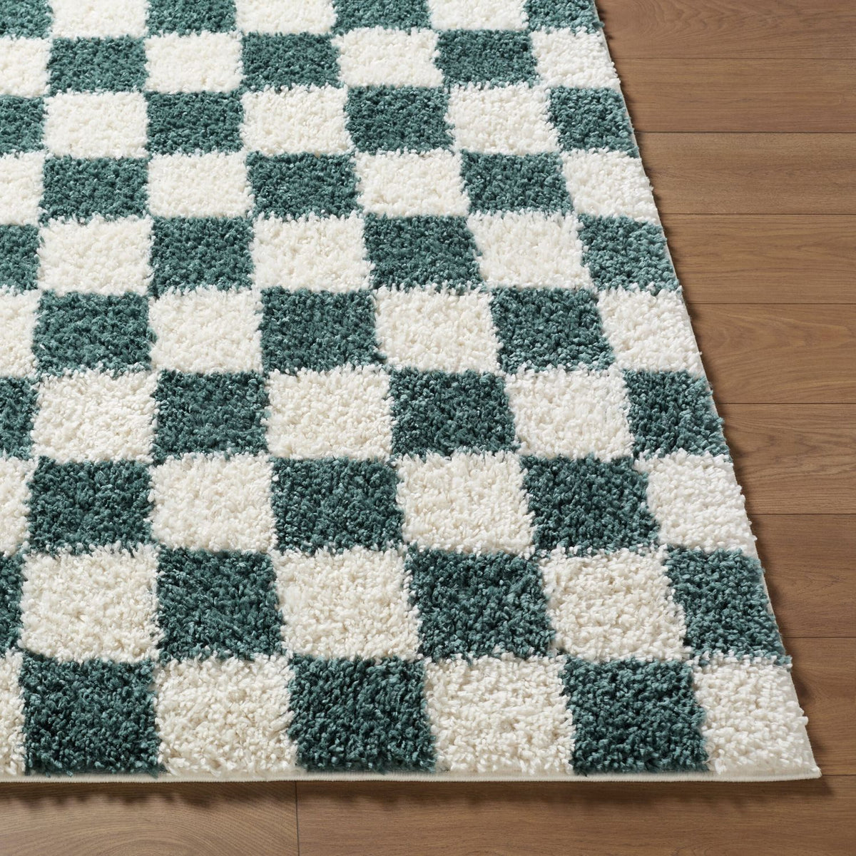 Livabliss Czechia CZE-2303 Machine Woven Rug