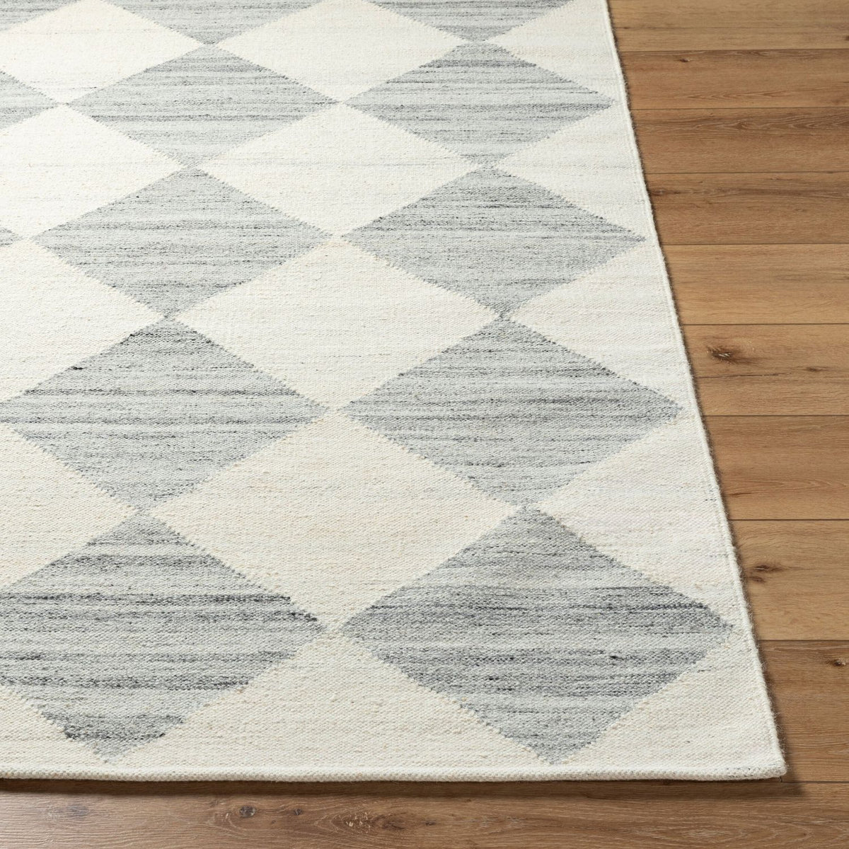 Livabliss Antho VVAT-2303 Hand Woven Rug