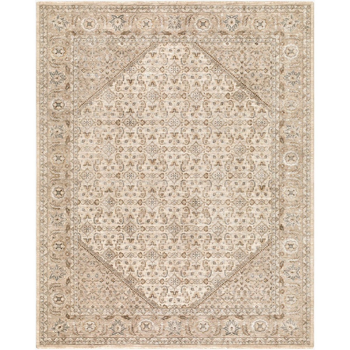 Livabliss Arda ACZ-2315 Machine Woven Rug