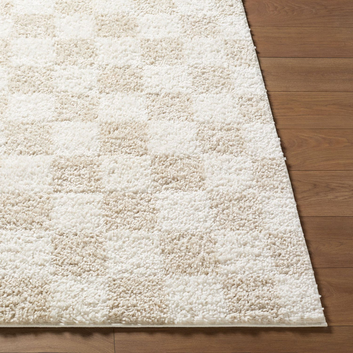 Livabliss Czechia CZE-2306 Machine Woven Rug