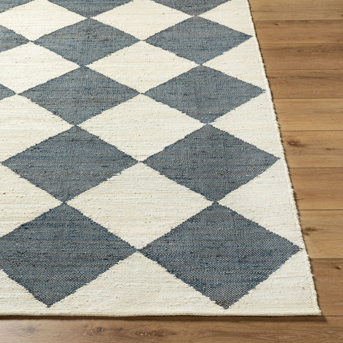 Livabliss Antho VVAT-2302 Hand Woven Rug