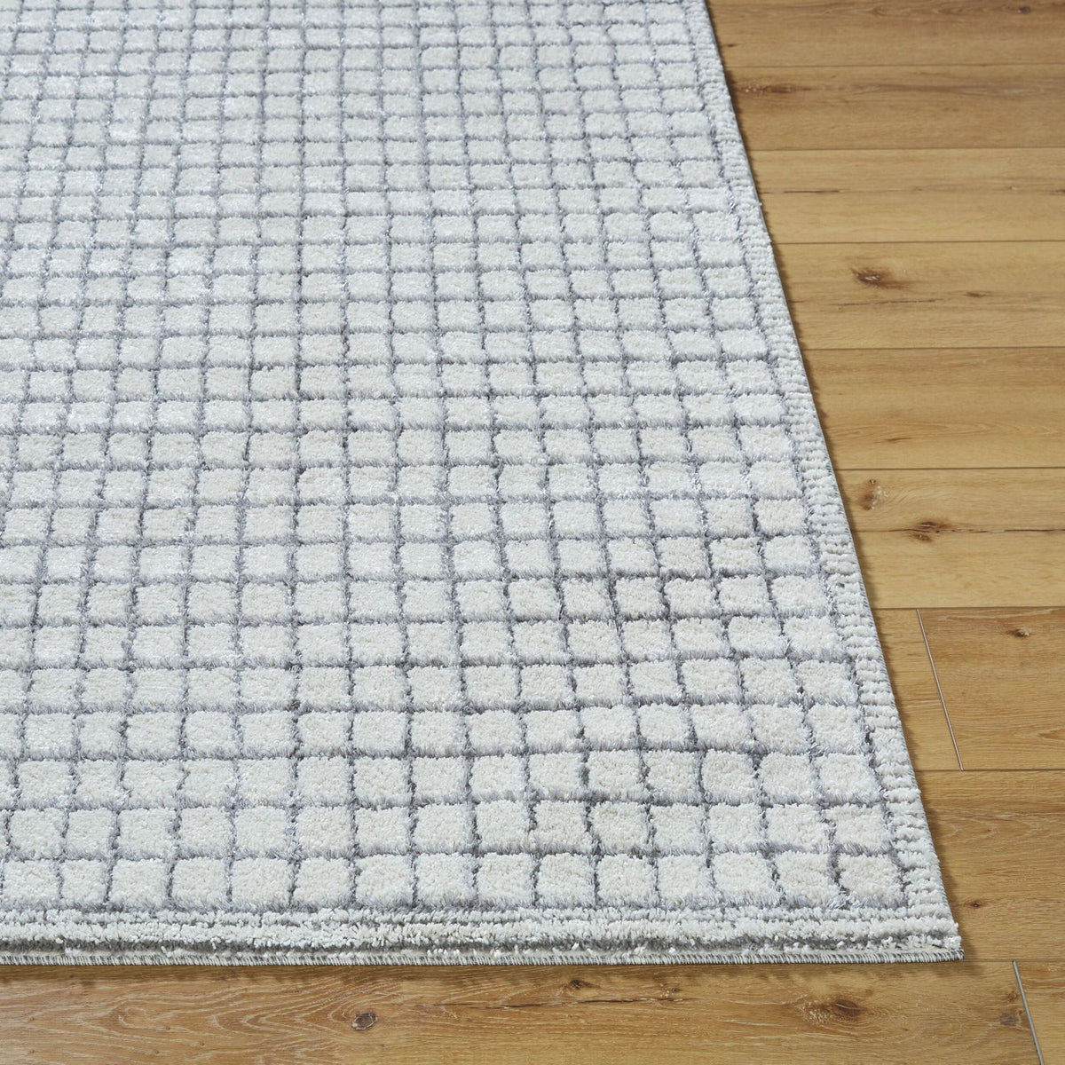 Livabliss Andorra Plus ARP-2309 Machine Woven Rug