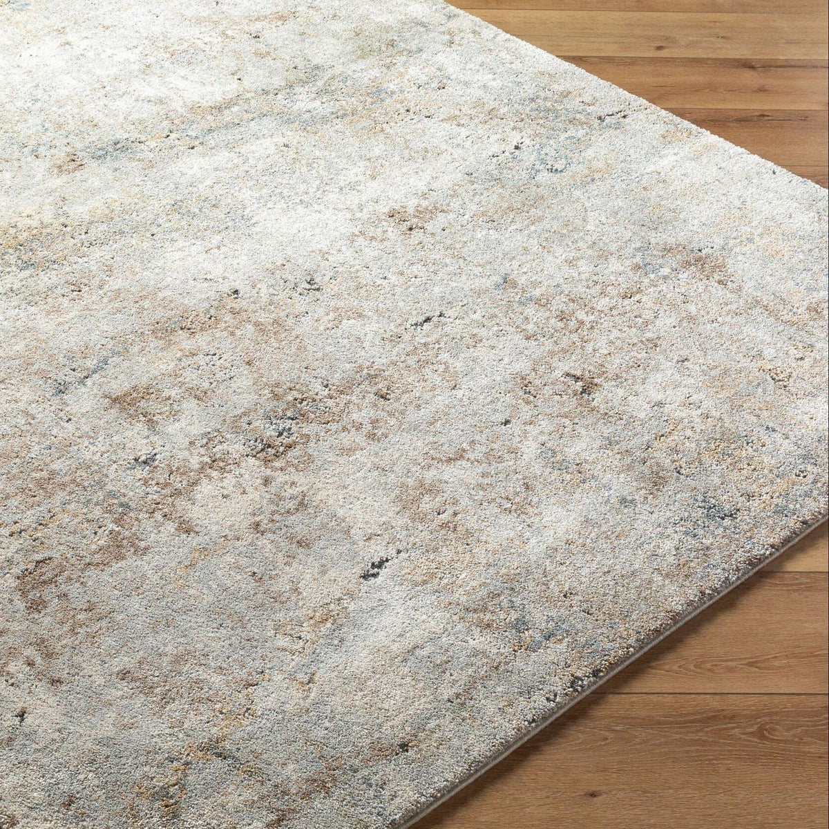Livabliss Avellino AVL-2323 Machine Woven Rug