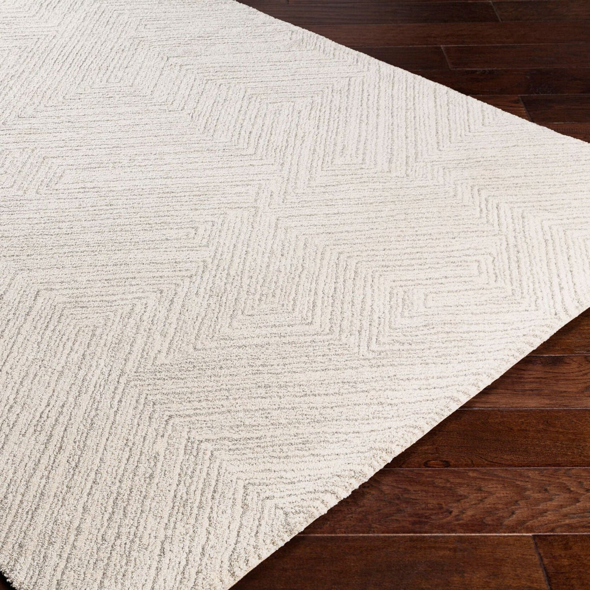 Livabliss Gavic GVC-2302 Machine Woven Rug