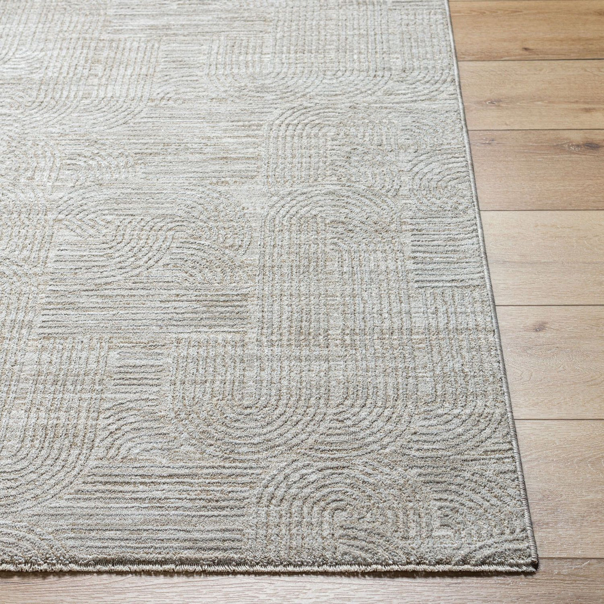 Livabliss Masterpiece MPC-2311 Machine Woven Rug