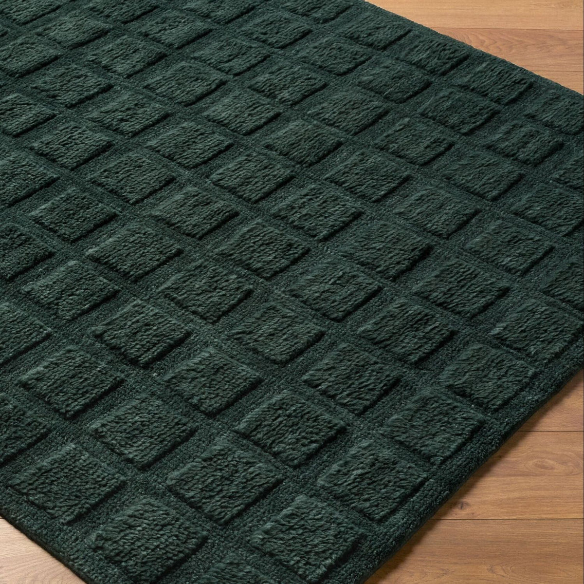 Livabliss Eleve EEV-2302 Hand Woven Rug