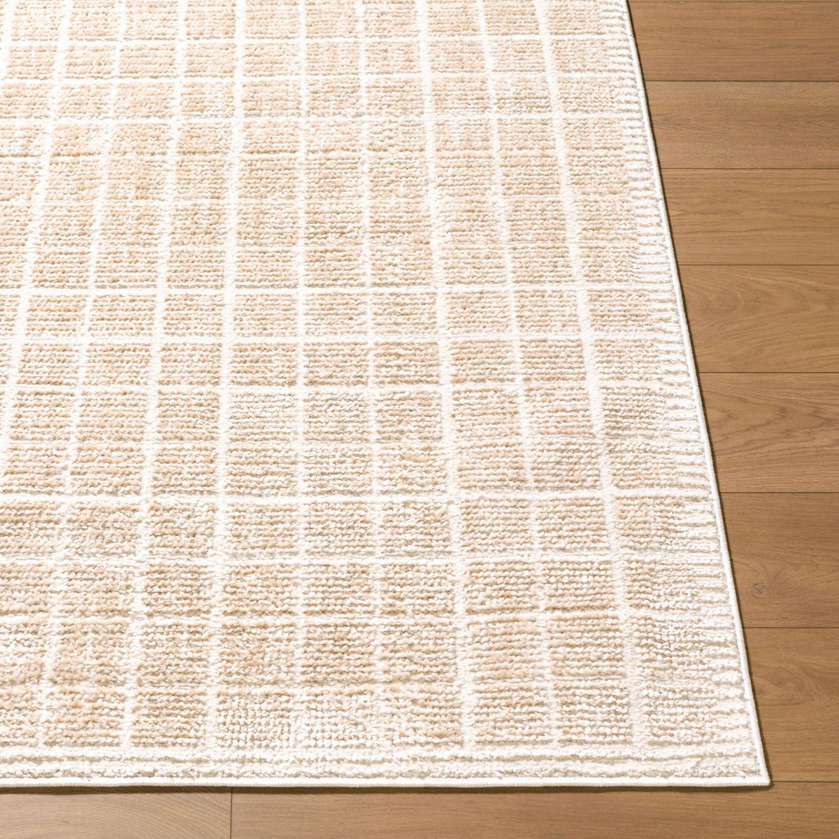 Elle Decor x Livabliss Odeon EDOD-2300 Machine Woven Rug