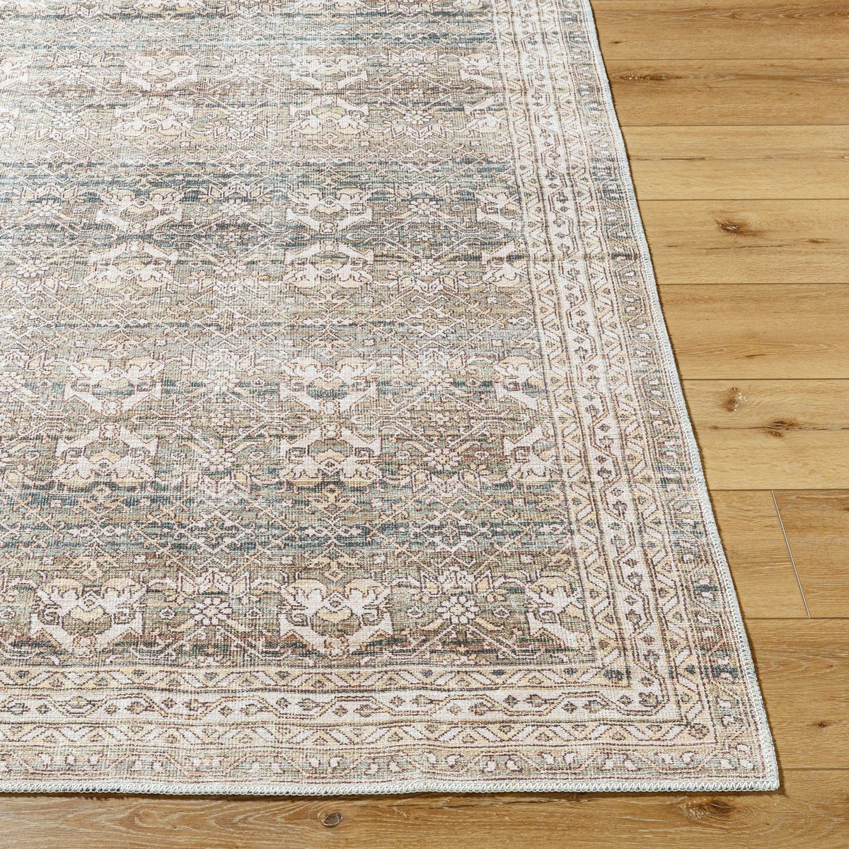 Livabliss Amelie AML-2404 Machine Woven Rug