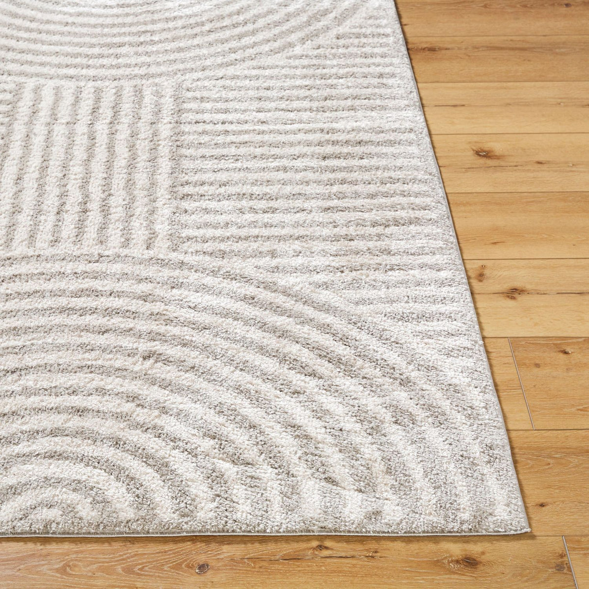Livabliss Fossay Shag FSG-2335 Machine Woven Rug