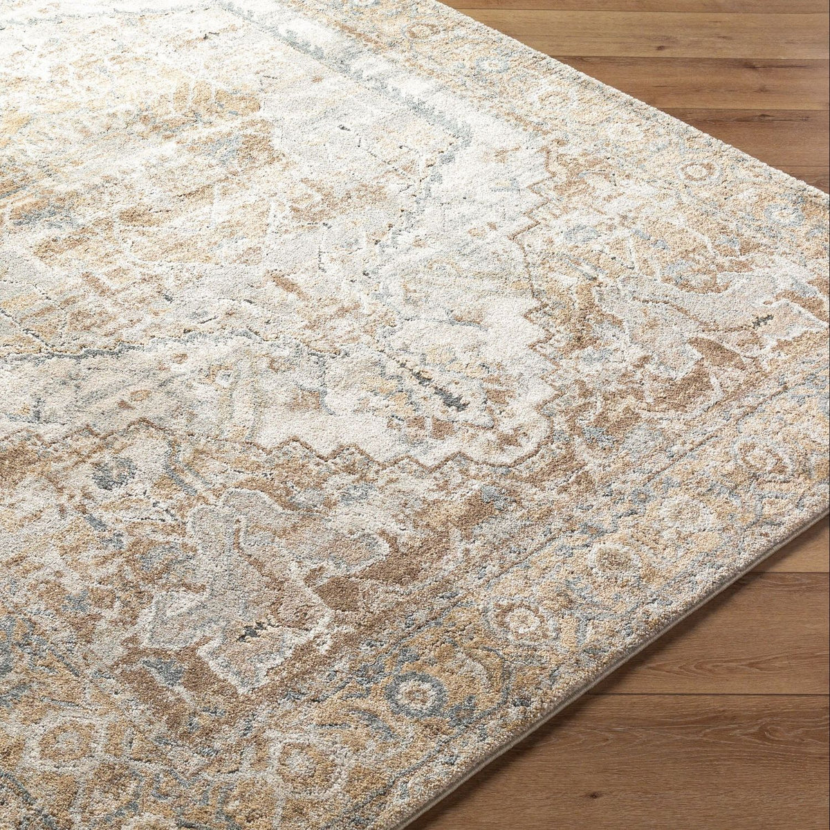 Livabliss Avellino AVL-2318 Machine Woven Rug