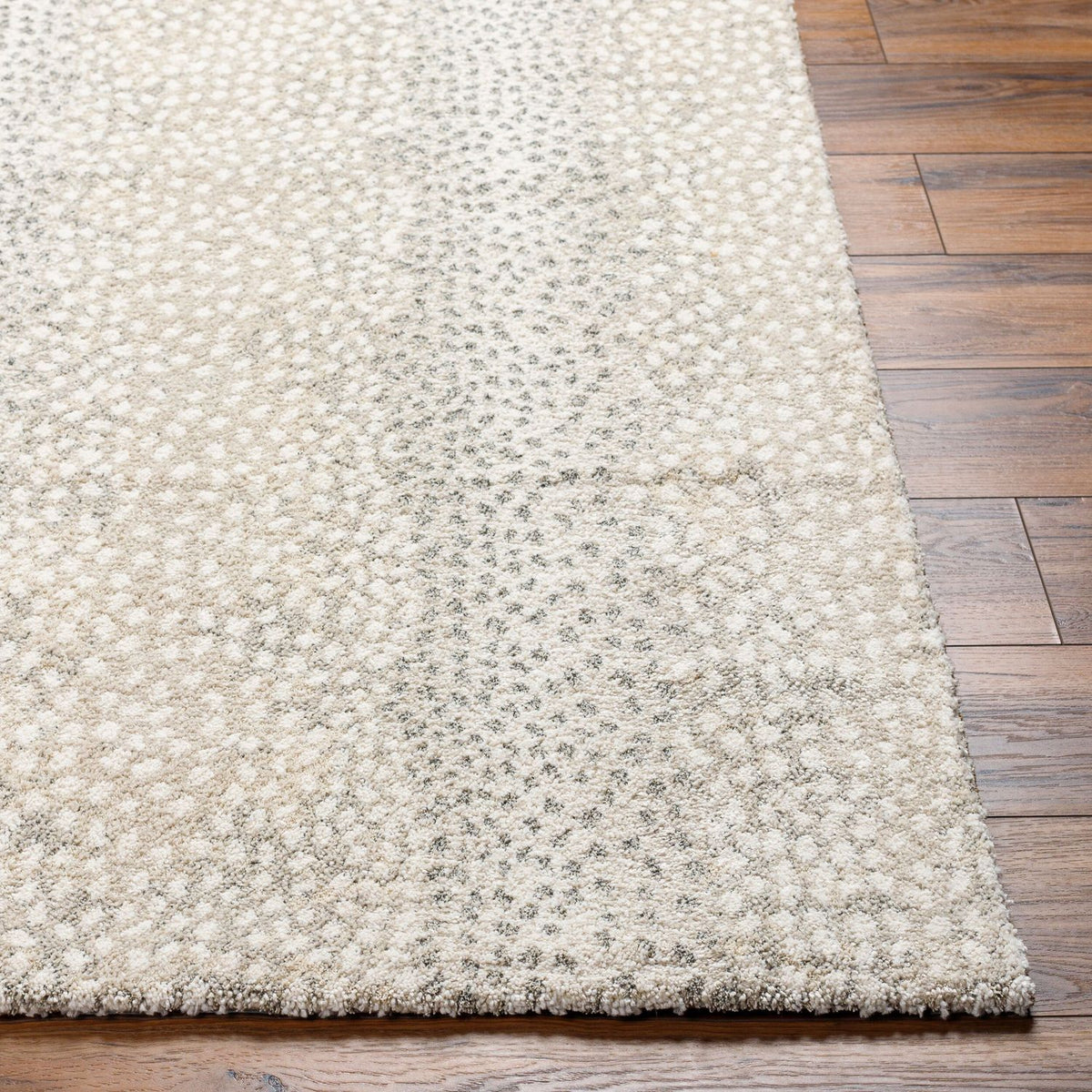 Livabliss Gavic GVC-2313 Machine Woven Rug
