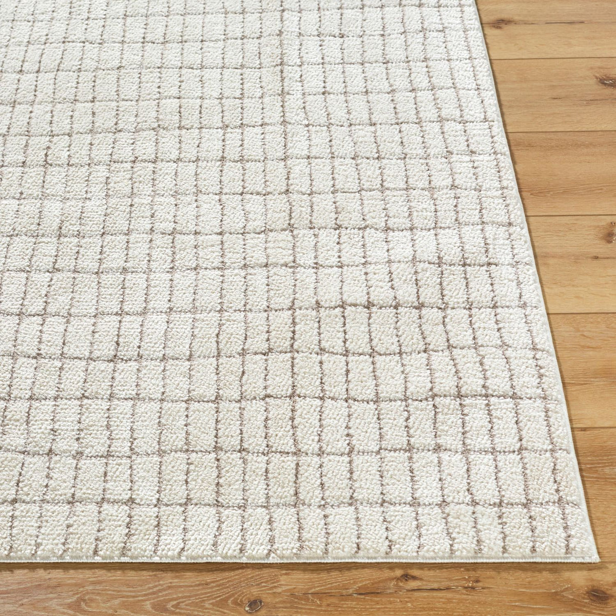 Livabliss Cascade PNWCS-2307 Machine Woven Rug
