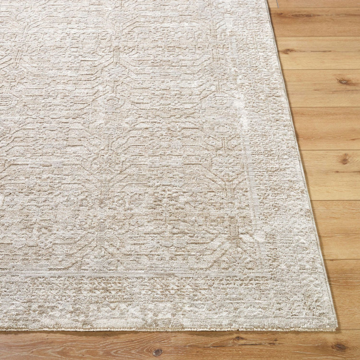 Livabliss Beth VVBE-2301 Machine Woven Rug