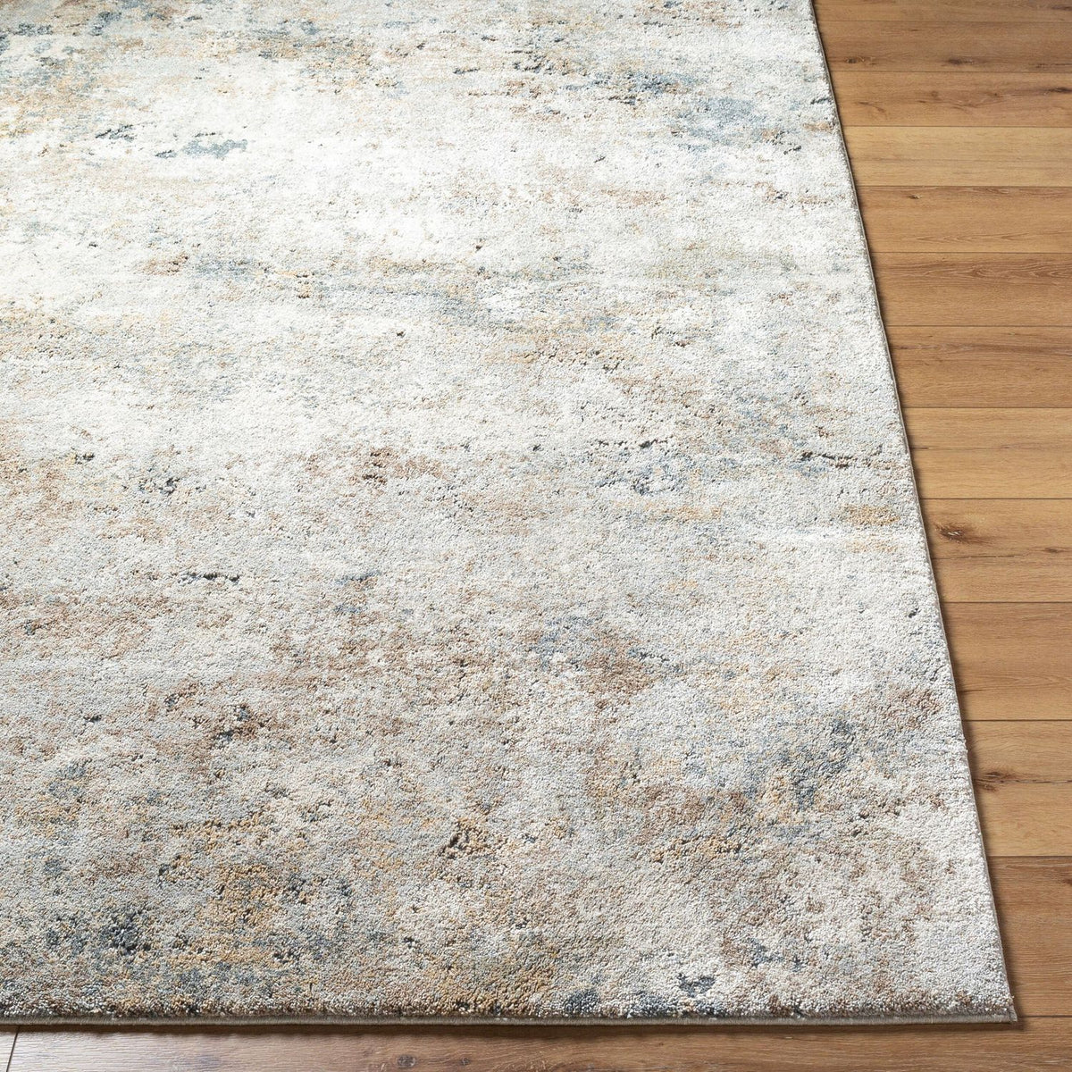 Livabliss Avellino AVL-2323 Machine Woven Rug