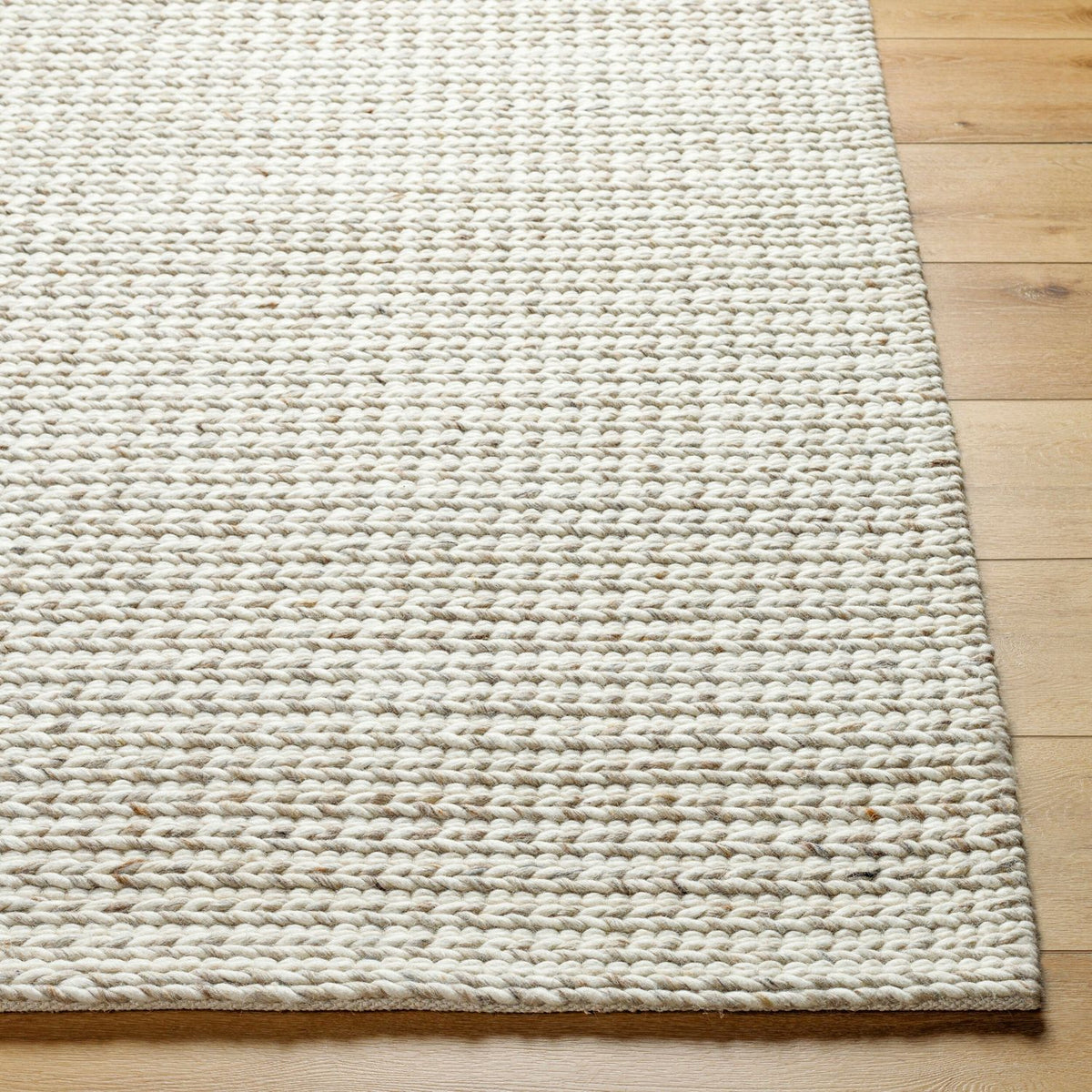 Livabliss Sundance SDC-2303 Hand Woven Rug