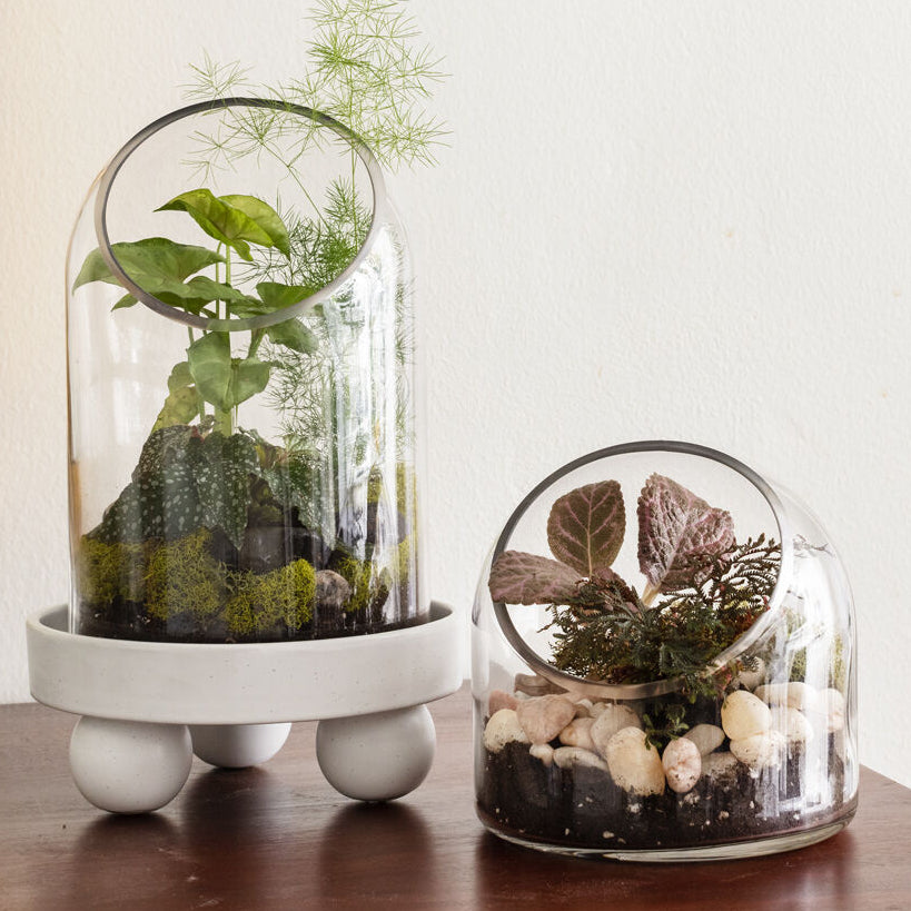 Warner Terrarium shown as a styled home décor accent