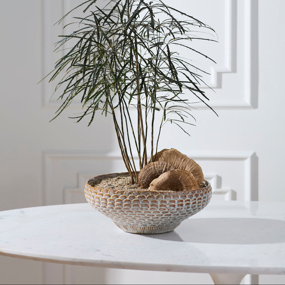 White Oak Bowl