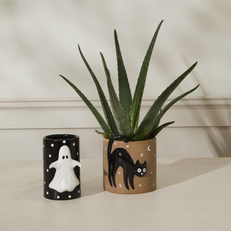 Witching Hour Pot