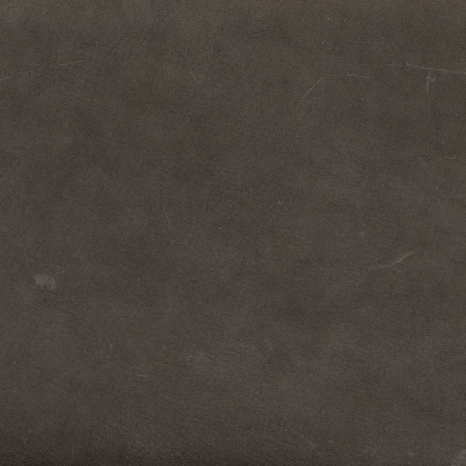 Four Hands Ferris Two Tone Dining Chair Set of 2