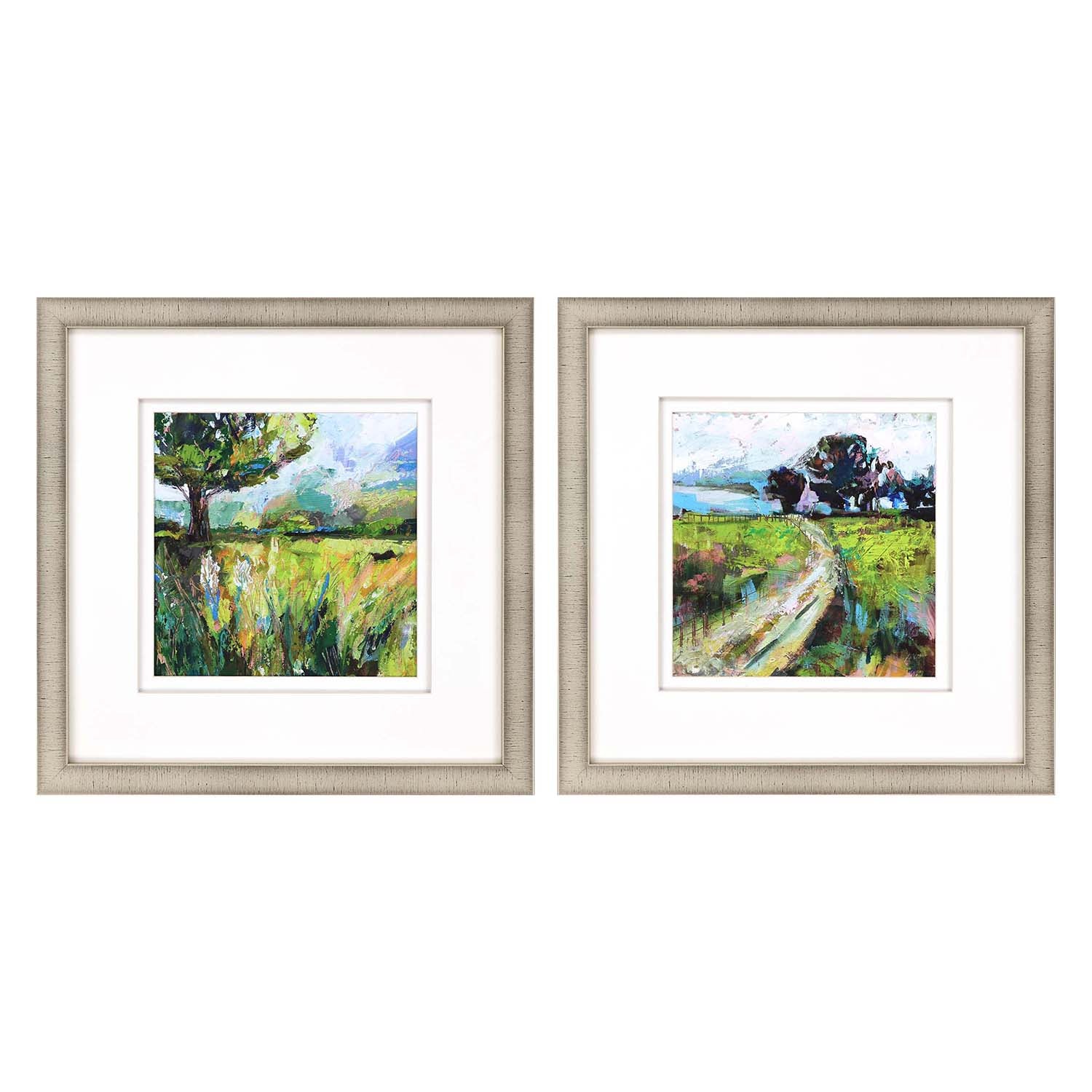 Vertentes Wildflower Meadow Framed Art Set of 2