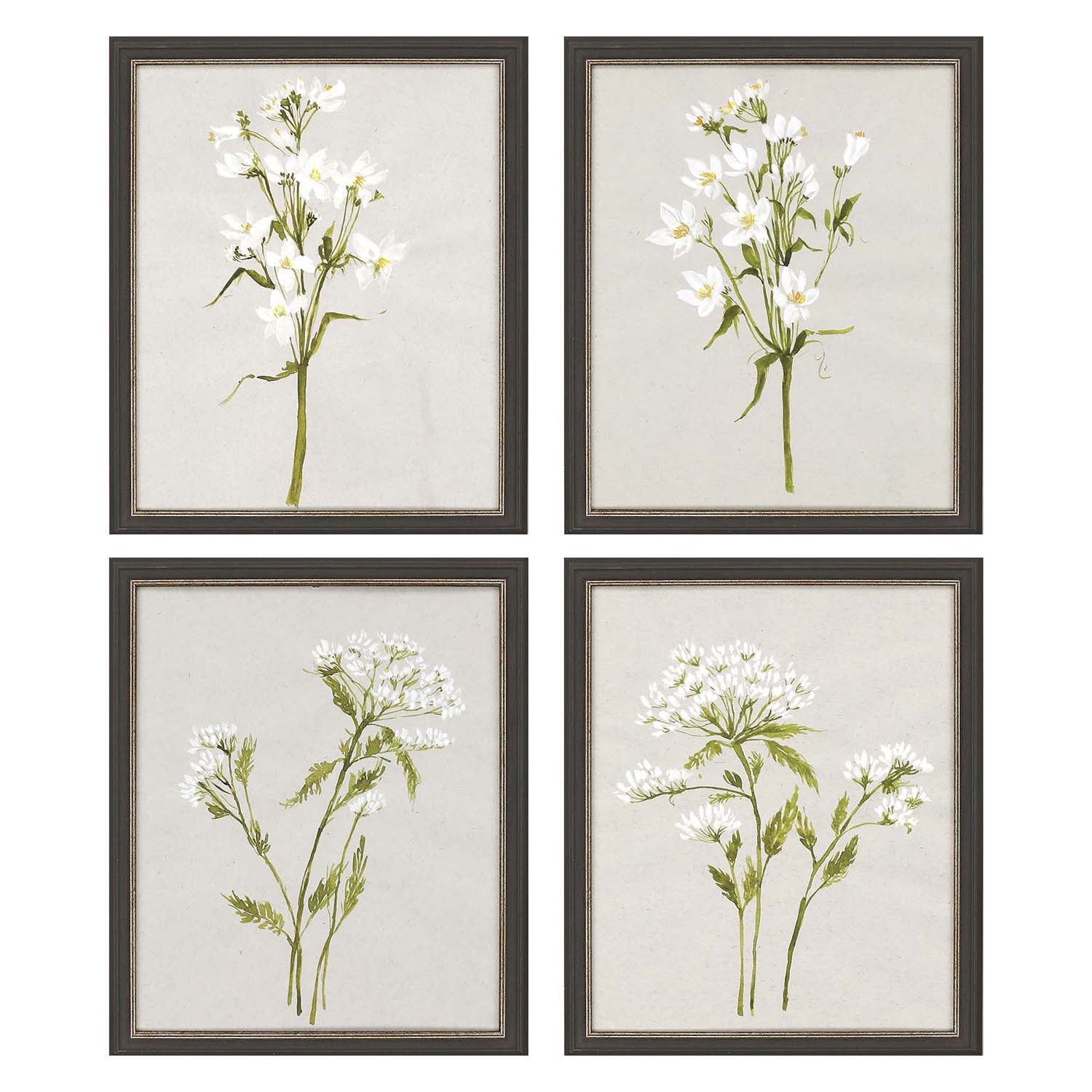 Goldberger White Field Flowers Framed Art Set of 4