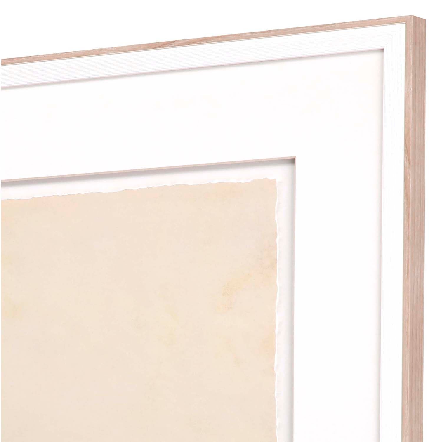 Ojeda Optical I Framed Art Set of 2