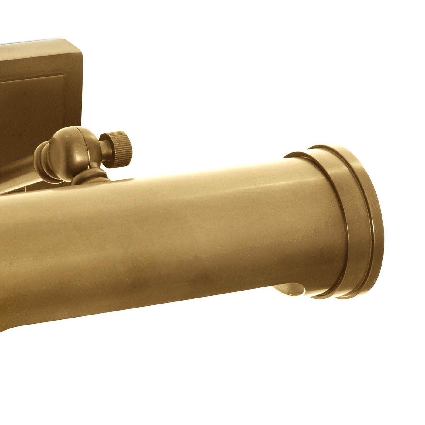 Regina Andrew Tate Picture Light