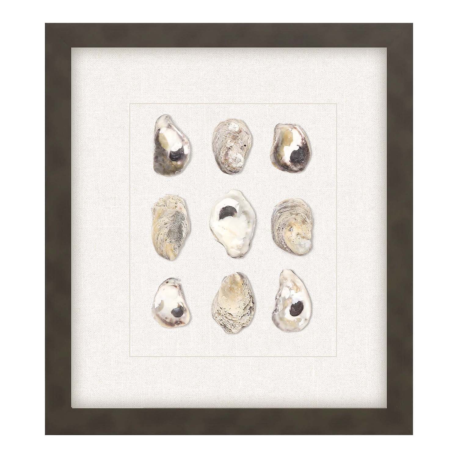Inspire Studio Shell Series Framed Art Set of 2