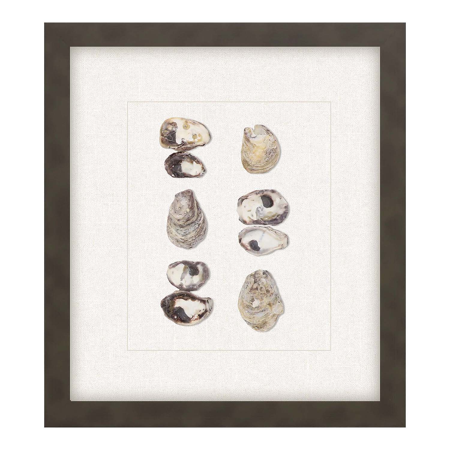 Inspire Studio Shell Series Framed Art Set of 2