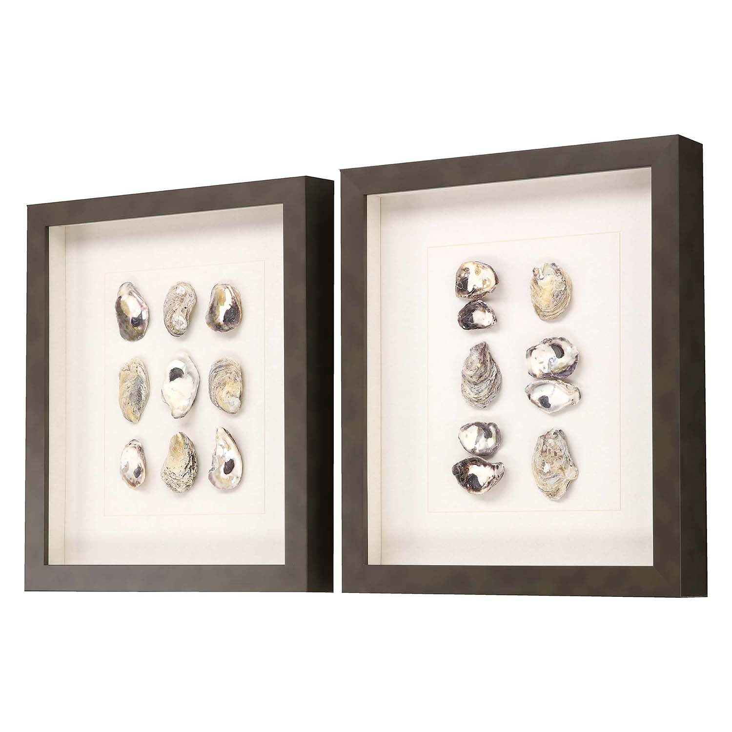 Inspire Studio Shell Series Framed Art Set of 2