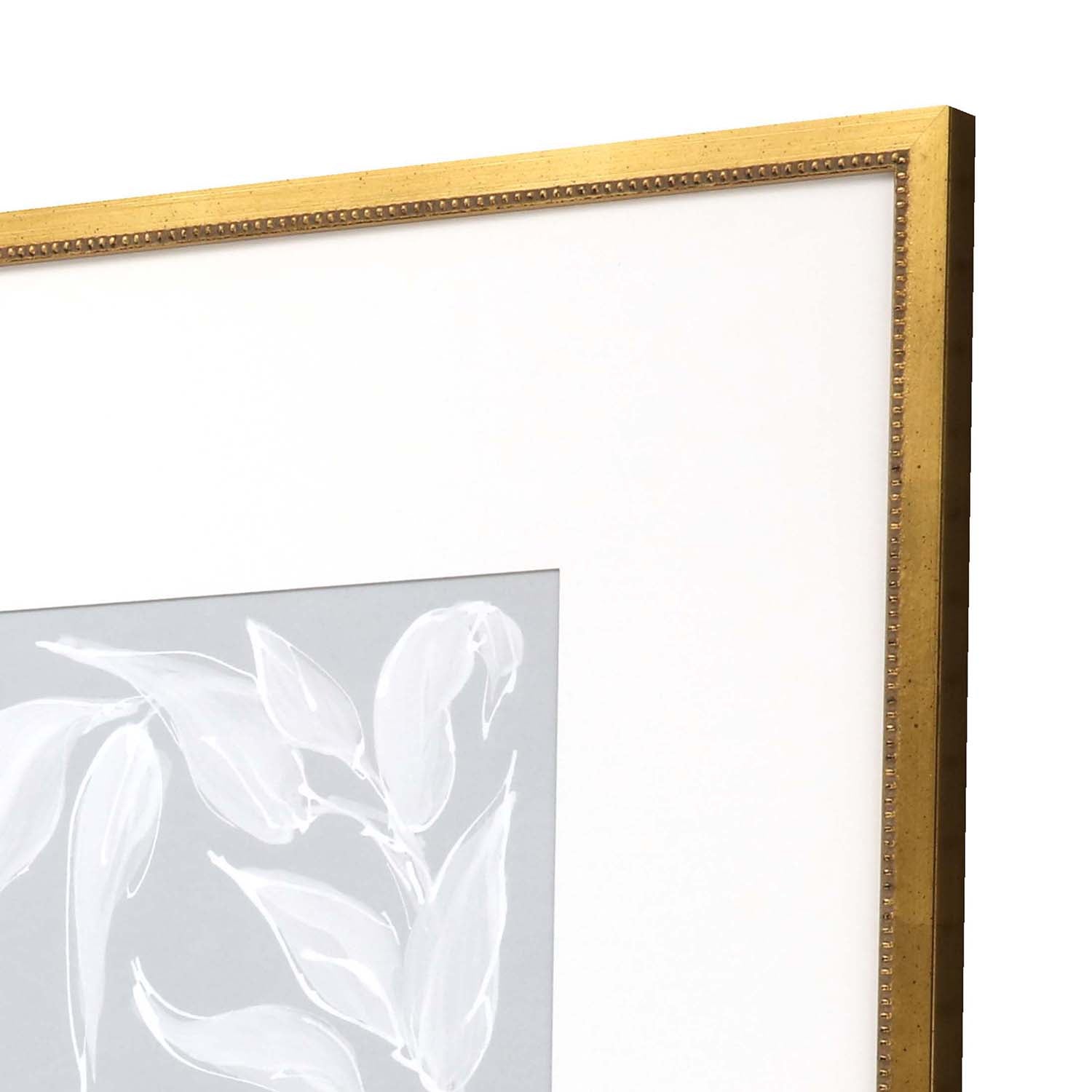 Paschke Leaf Study Framed Art Set of 4