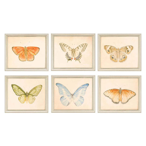 Meagher Butterflies Framed Art Set of 6