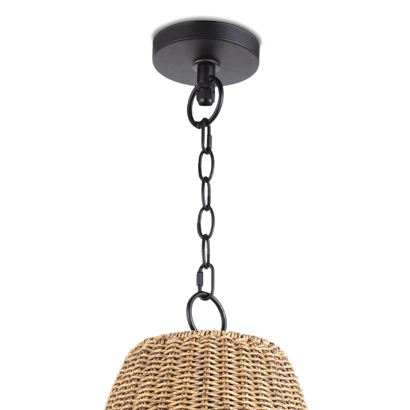 Regina Andrew Summer Outdoor Pendant