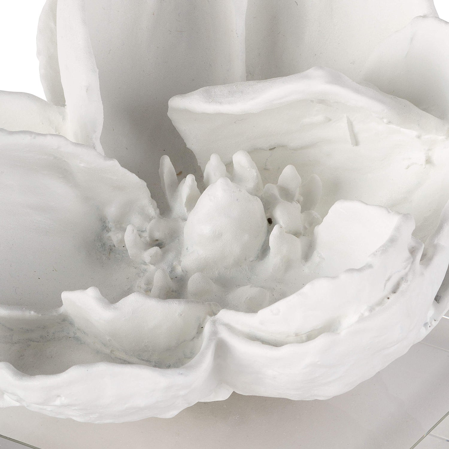 Regina Andrew Magnolia Decorative Object