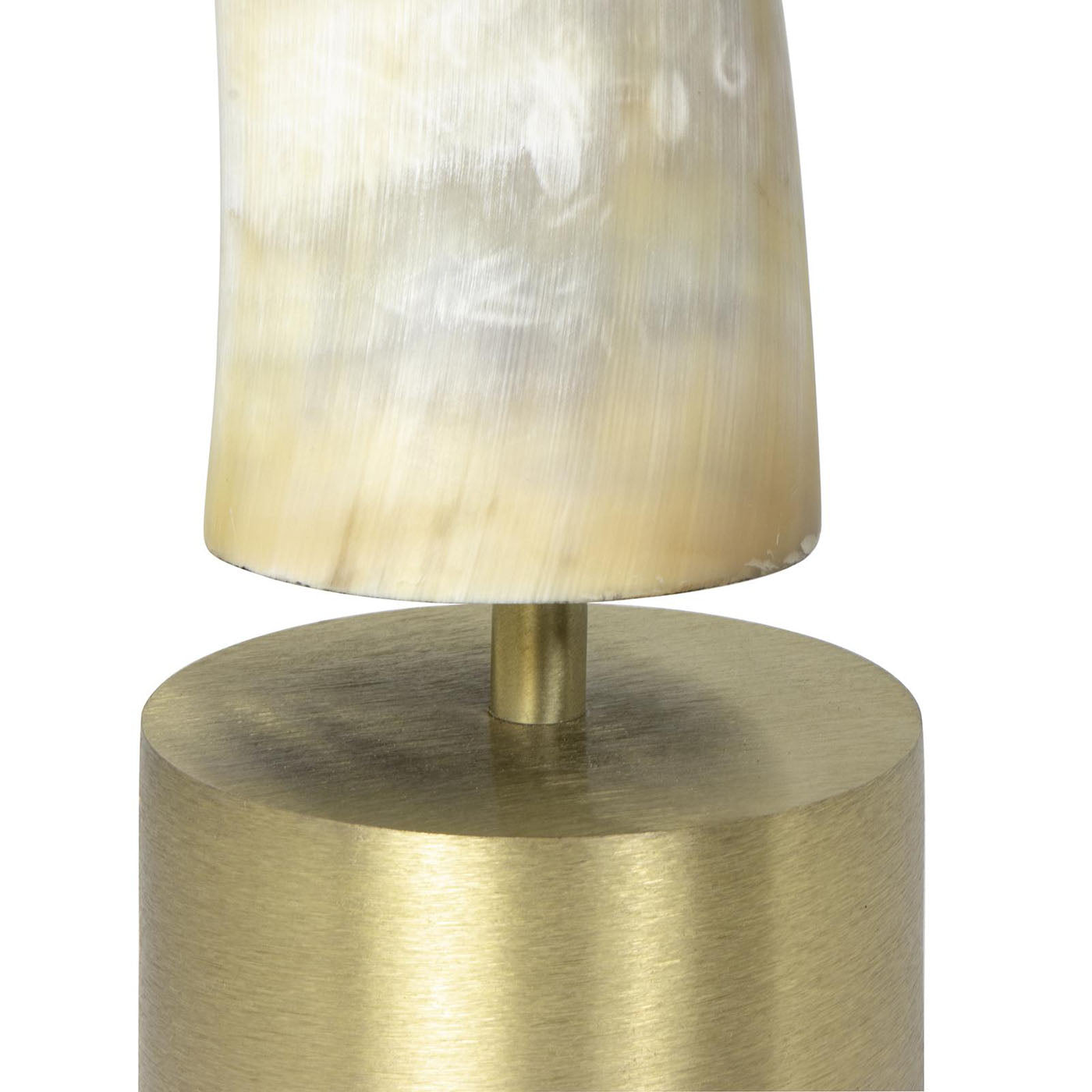 Regina Andrew Daylon Horn