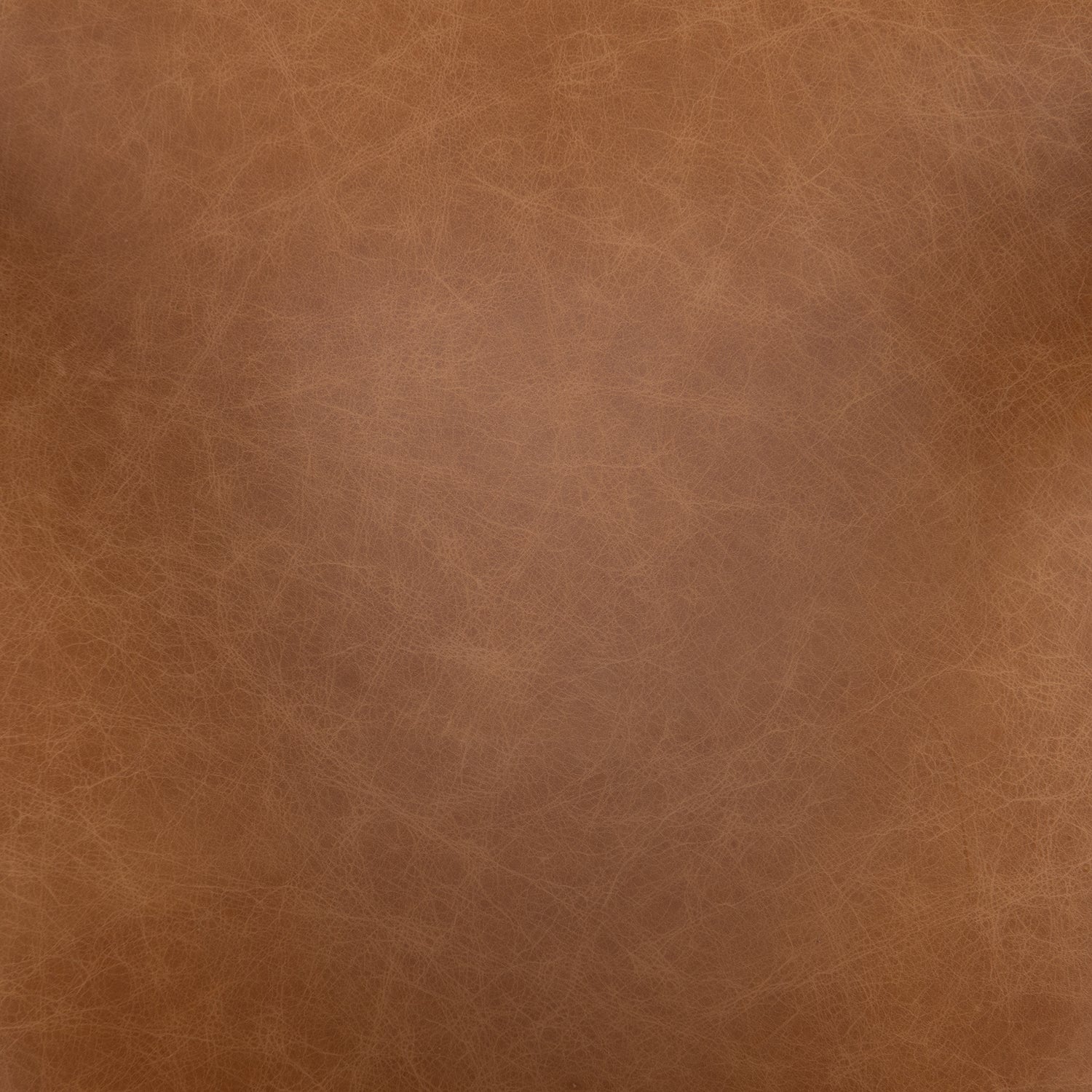 Four Hands Hawkins Dining Chair Set of 2