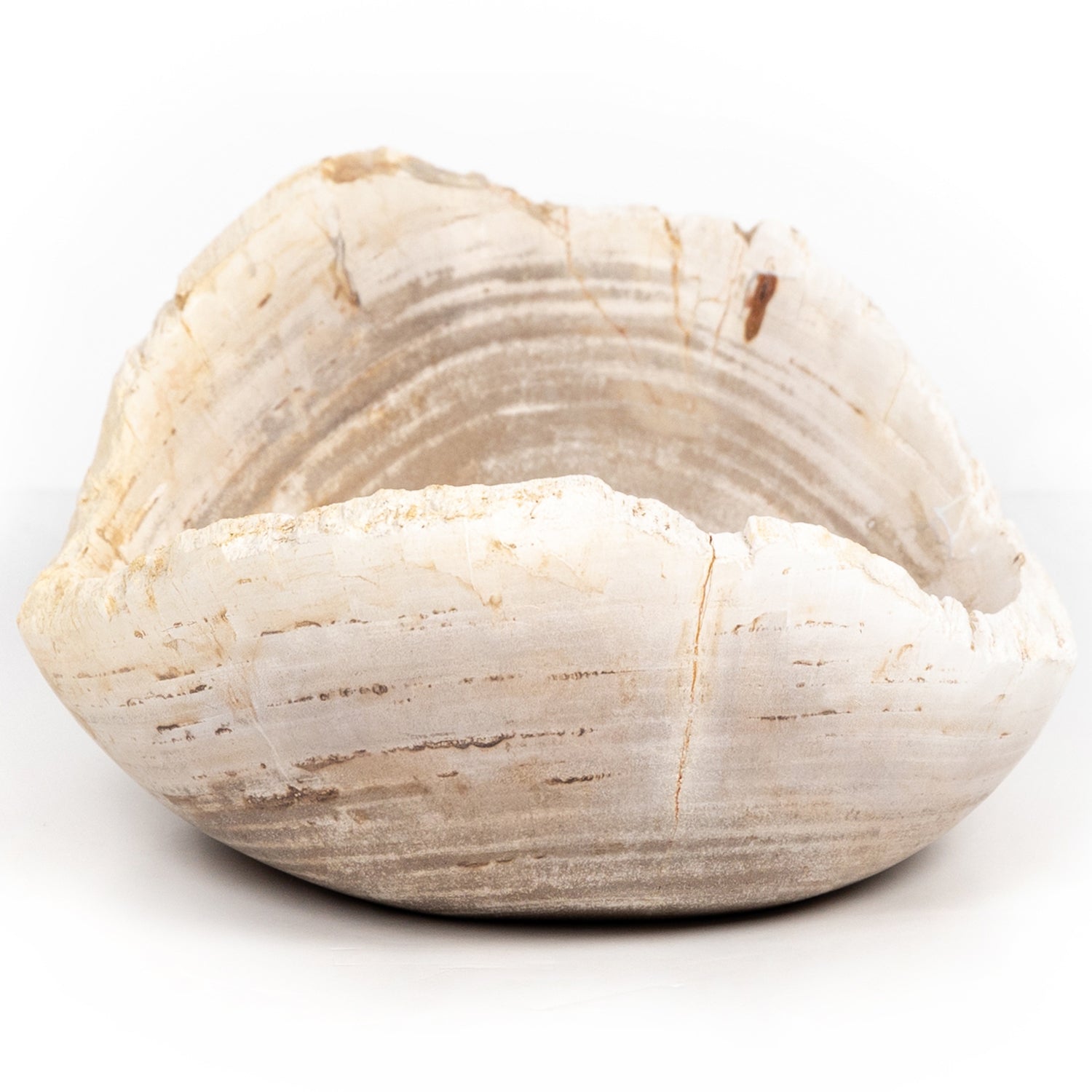 Four Hands Oval Petrified Wood Bowl