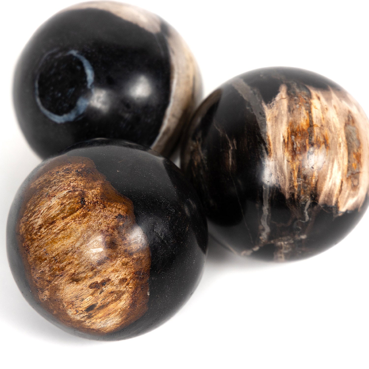 Four Hands Petrified Wood Ball Set