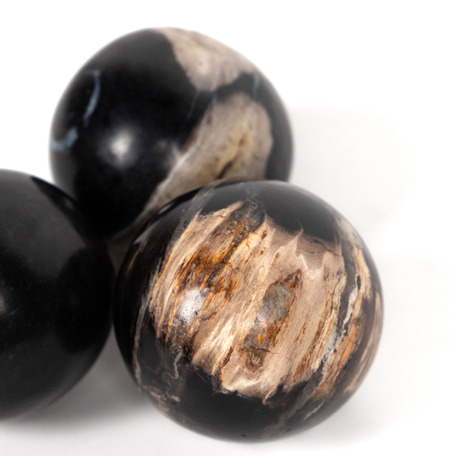 Four Hands Petrified Wood Ball Set