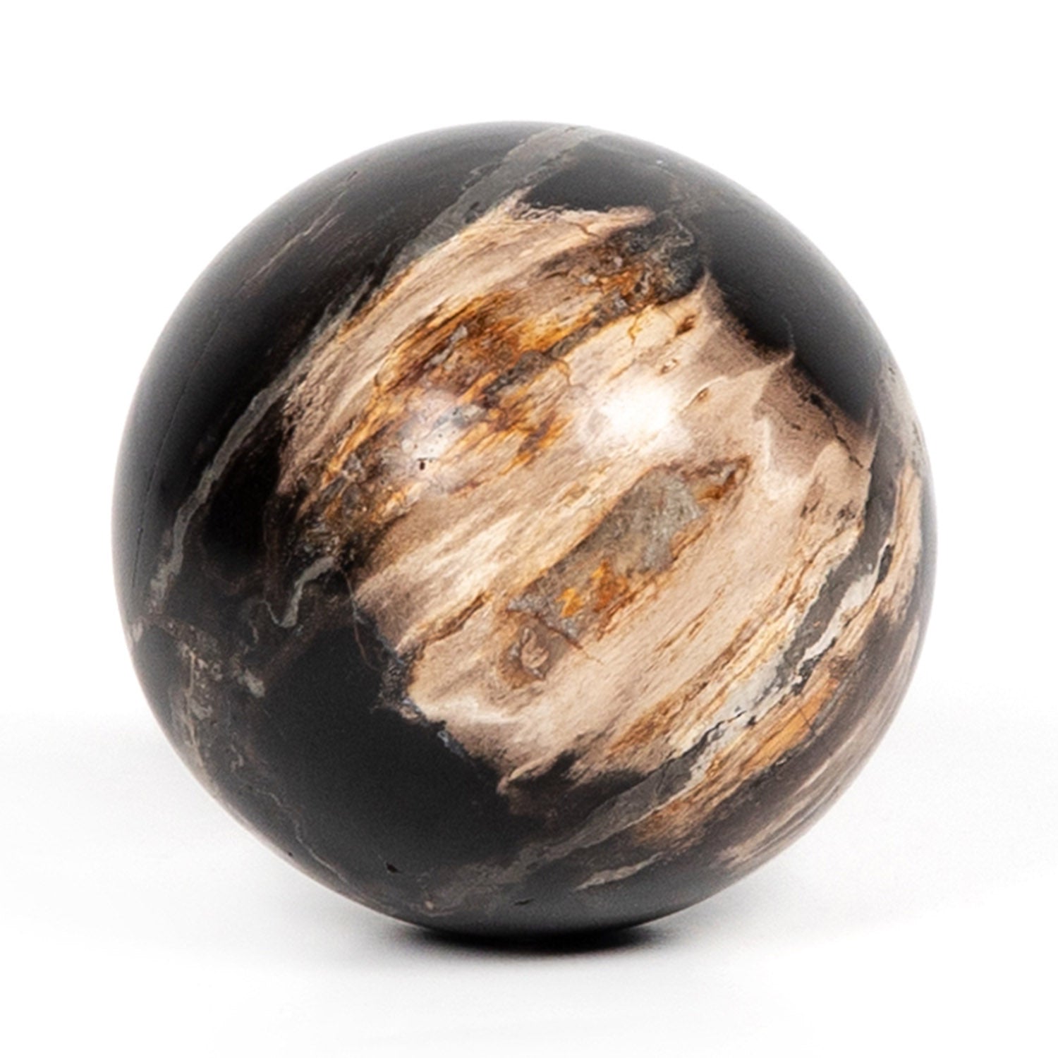 Four Hands Petrified Wood Ball Set