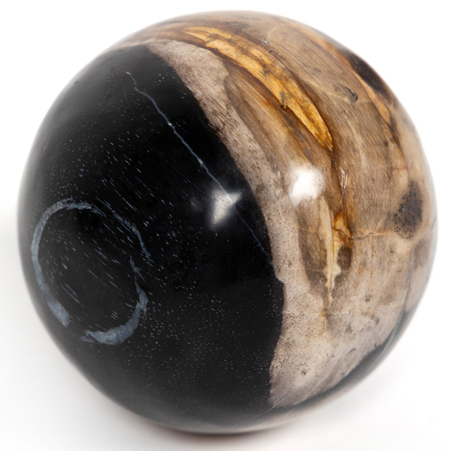 Four Hands Petrified Wood Ball Set