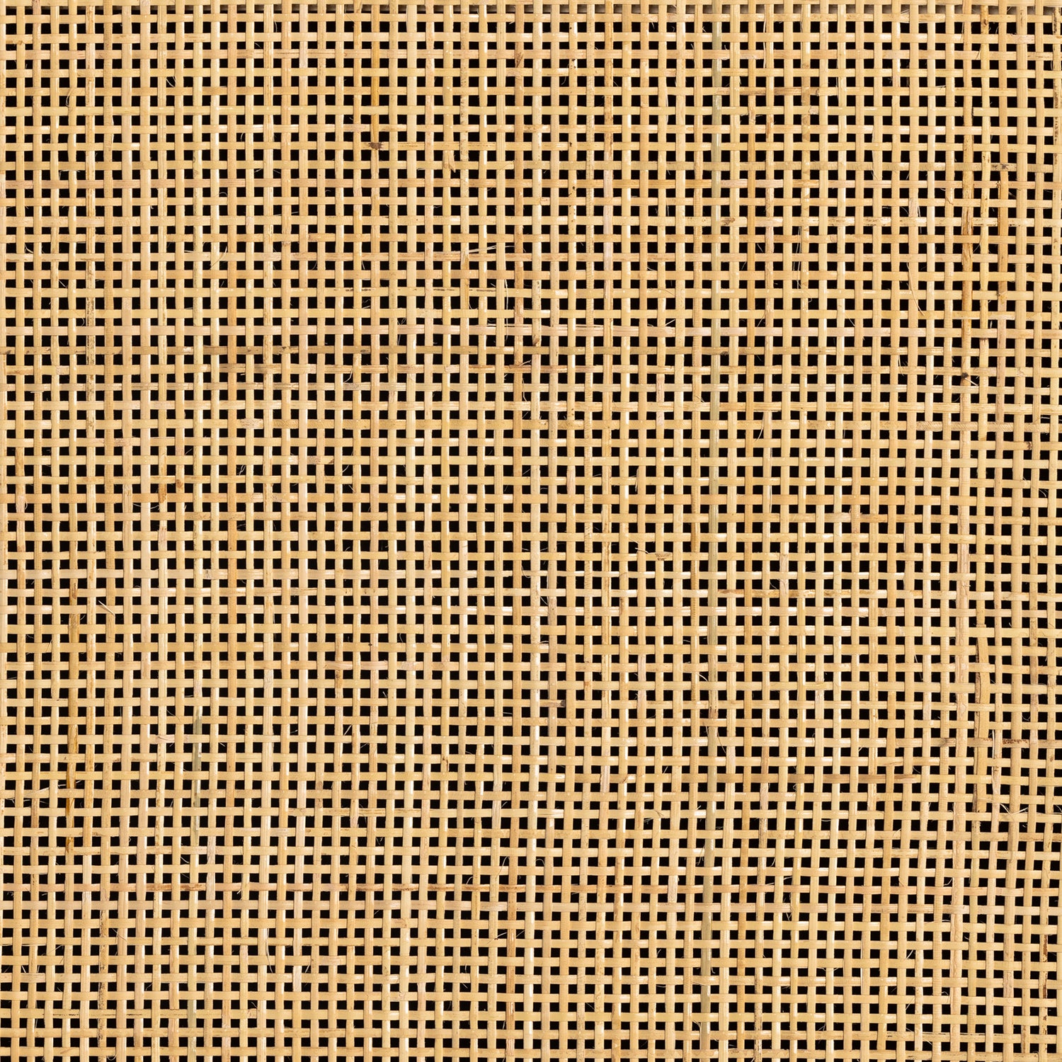 Four Hands Caprice Tall Cabinet