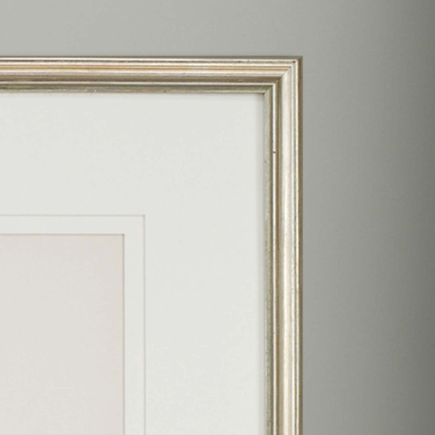 Vision Studio Sea Fan I Framed Art Set of 3