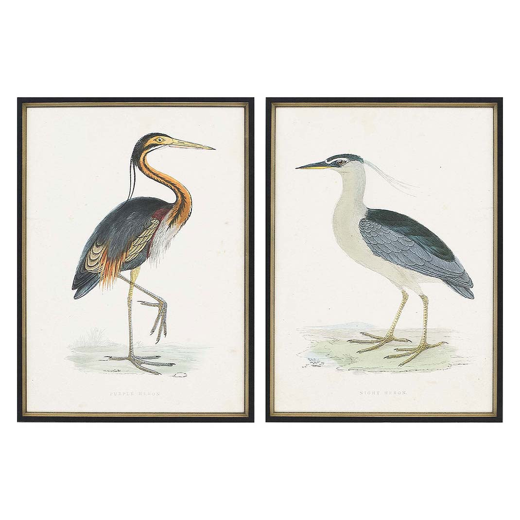 Morris Herons Framed Art Set of 2