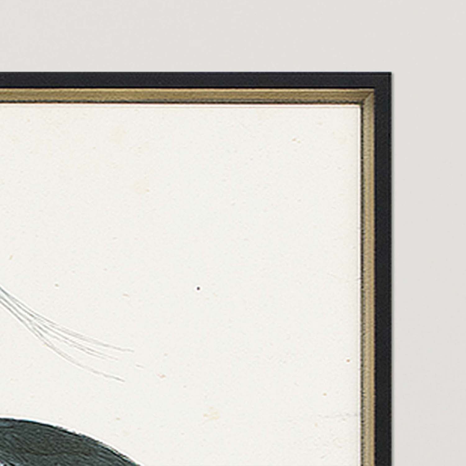 Morris Herons Framed Art Set of 2