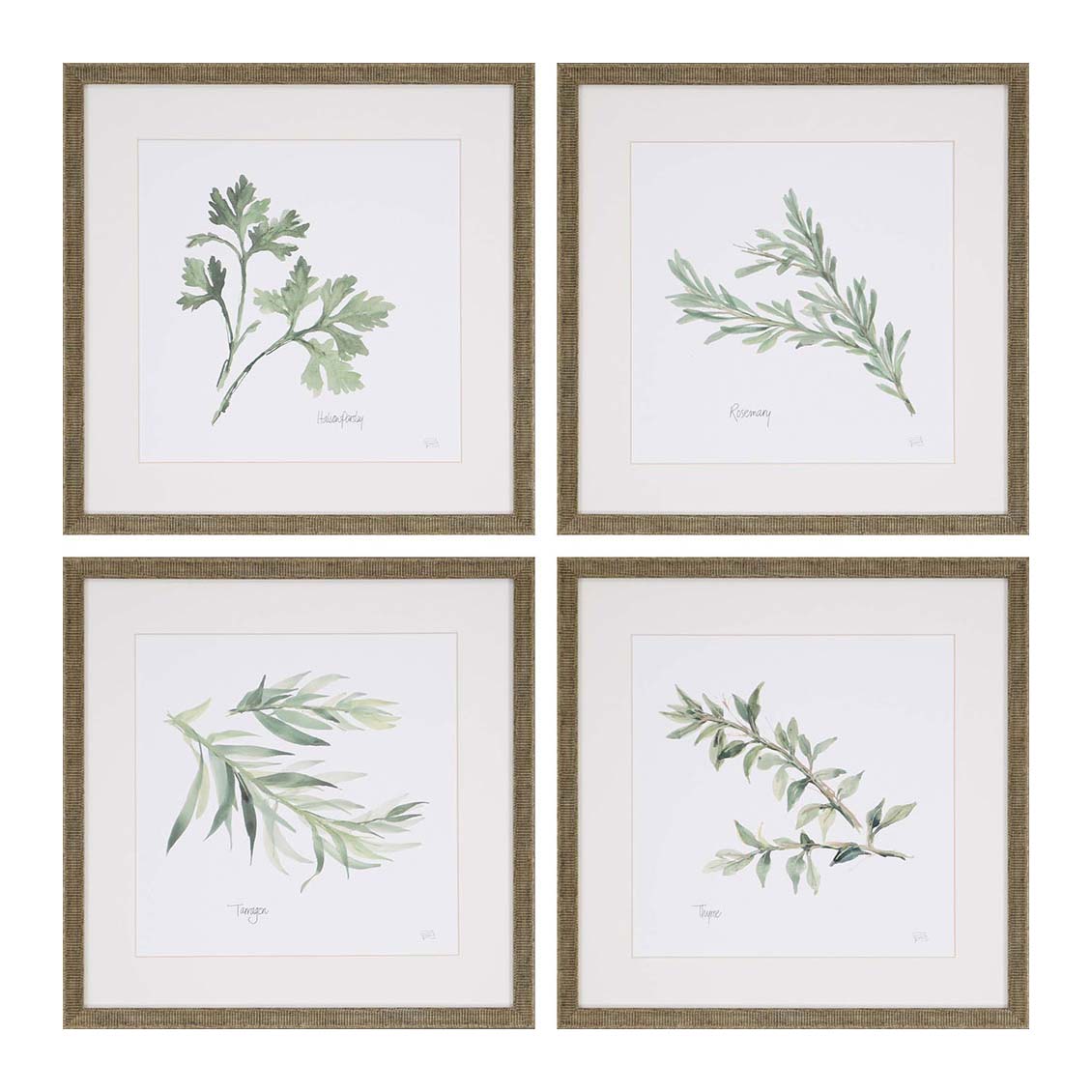 Paschke Herbs Framed Art Set of 4