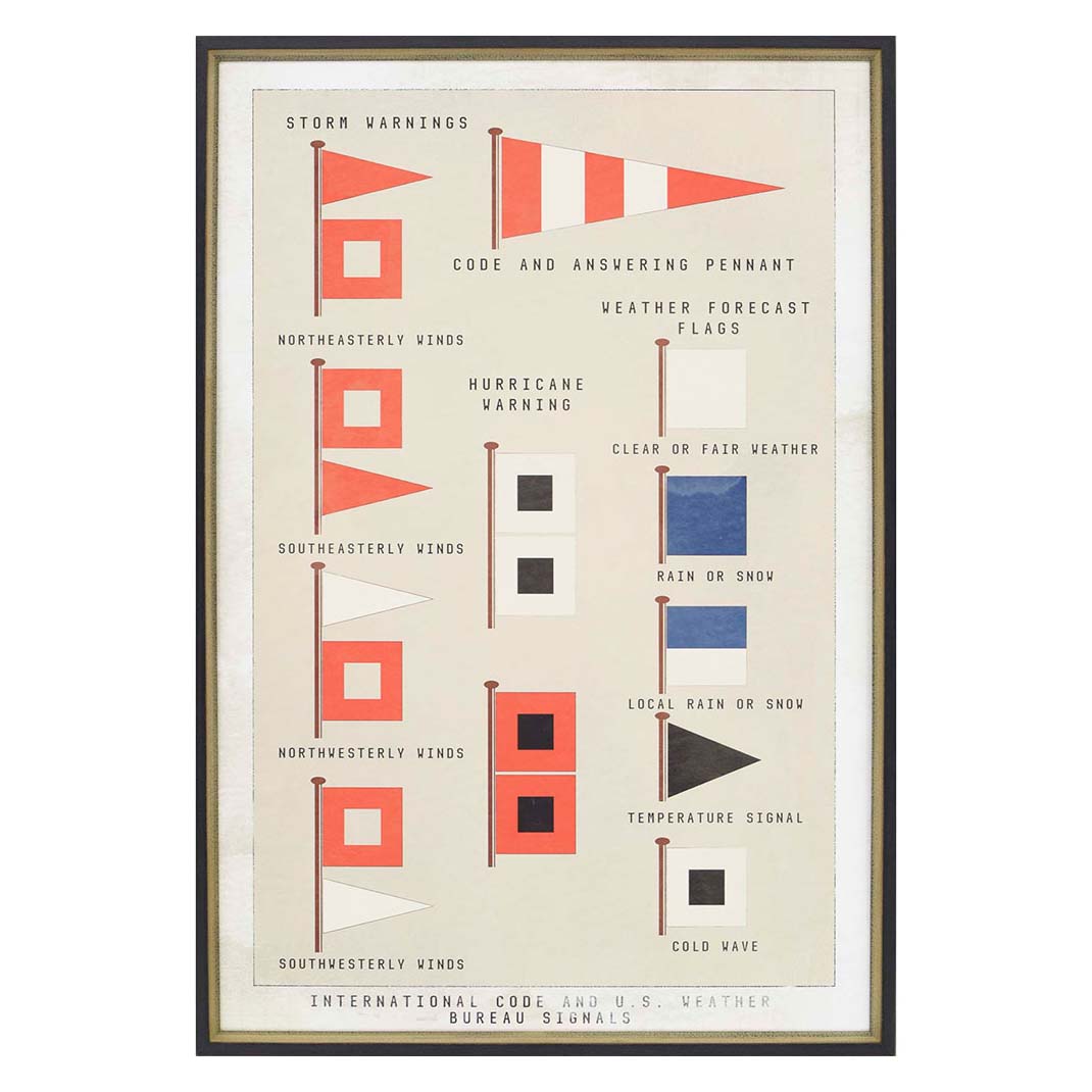 Hurd Storm Flags Framed Art