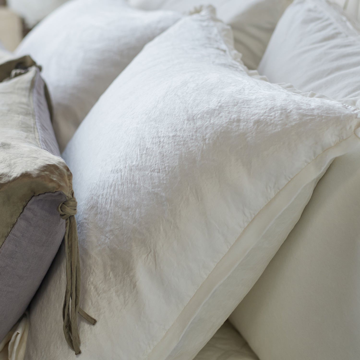 Bella Notte Paloma Pillow Sham