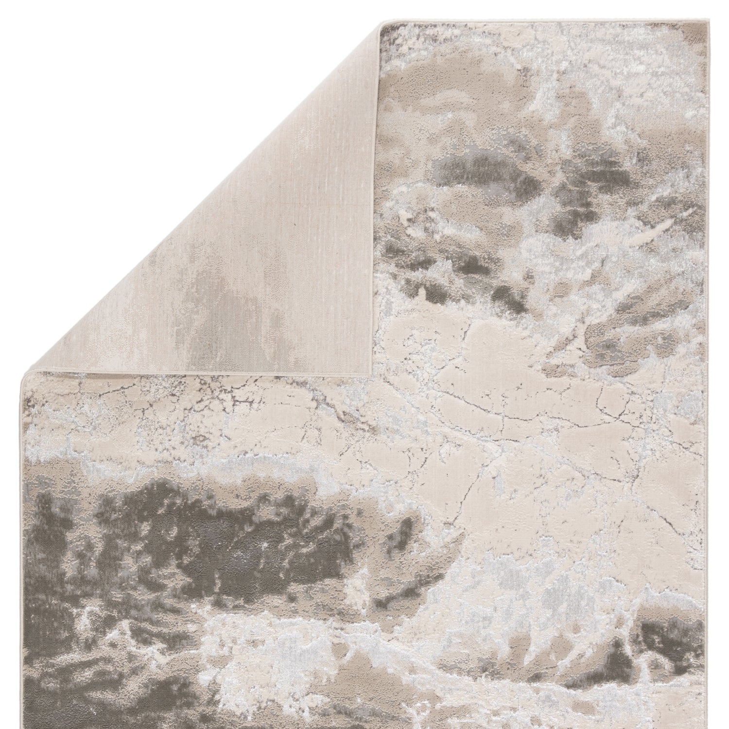 Jaipur Living Catalyst Cisco Power Loomed Rug