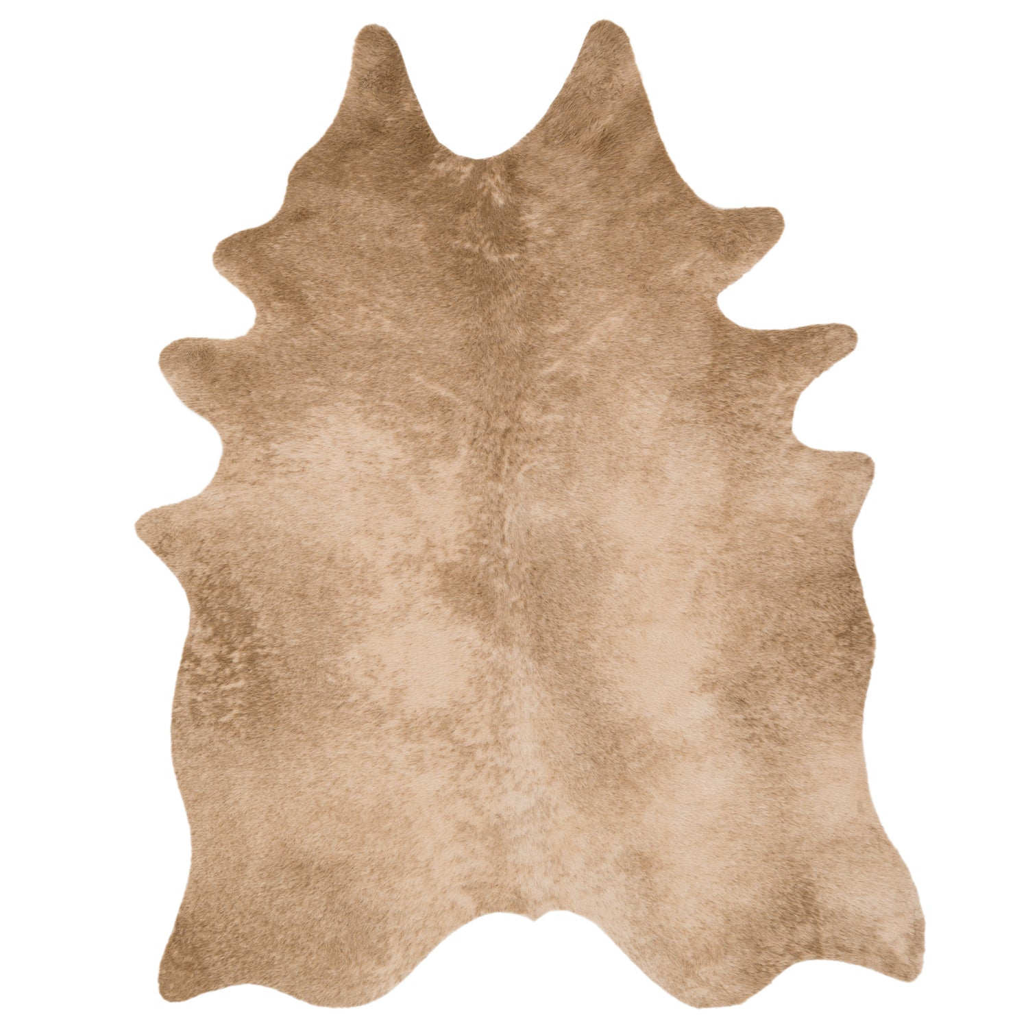 Loloi Grand Canyon Tan Power Loomed Rug